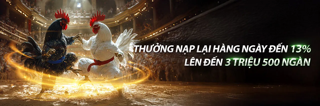 Đá Gà Trực Tuyến Hấp Dẫn tại new8 win