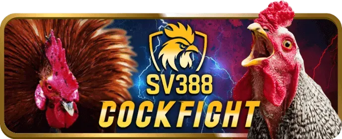 Hình ảnh minh họa liên hệ hỗ trợ khách hàng của new8 win