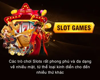 Các loại hình cá cược đa dạng tại New8 Win